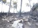 brigada contra incendios tabuyo