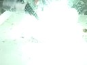 Zinc Iodide Demo