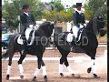 MASPALOMAS DOMA CLASICA