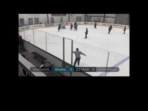 Molly Ji 2025 Center #18: 2023-2024 Game Highlights