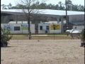 Windhaven Farm Showjumpers Sliver Surfer