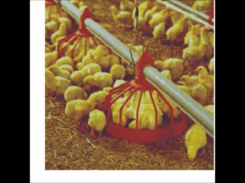 Sahibzada - DR.ASHRAF SAHIBZADA (a native of BHADDAR GUJRAT) is a world renowned Pakistani Agricultural Scientist. He extends free advisory service on all aspects of agr...