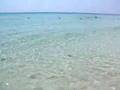 formentera 2007 formentera 2007