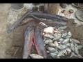 banned fish sold in open market