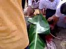 korban 2006