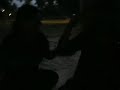 o canto da cidade versão timbalada