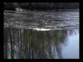 delta arata diferit de la un anotimp la altul..deci, va recomand sa veniti in cele 4 anotimpuri pt a vedea ceva de neuitat - videoclip