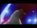 videos de el pollo electronico