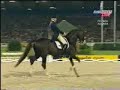 Dressage-J Brink & Briar WEG 06 Aachen Kur