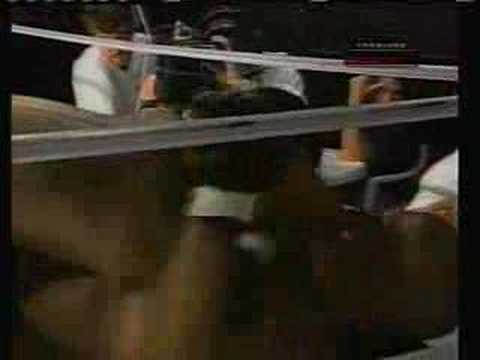 mike tyson vs bob sapp