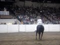 Impressive Riding!! Stacy Westfall Free Style Reining 06