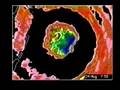 Hurricane Andrew - Radar Loops