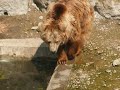 Visite du zoo fort mardyck