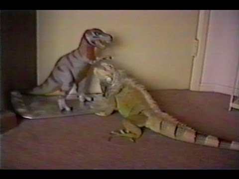 GODZILLA VS TIRANOSAURIO godzilla vs tiranosaurio: