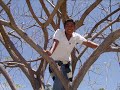 video galeria con la musica de anda y ve-akwid