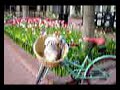 Chauncy on Bike