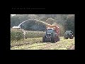 Loonbedrijf Gebr. Blankespoor - Mais hakselen