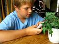 3-Kids-1-Dealer-And-