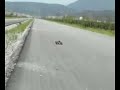 Off Road Gas Powered RC Car from
