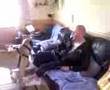 Bullmastiff video