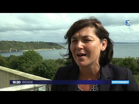 Image de prévisualisation YouTube