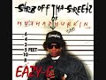 Eternal E - Eazy E ft Yella & Roger Troutman Eternal E - Eazy E ft Yella & Roger Troutman