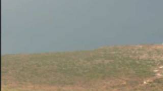 زيتا عروس الجماعينيات