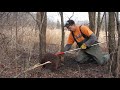 Beavers in the City, Part 3 - Exciting Beaver Action -by Suburban Wildlife Control