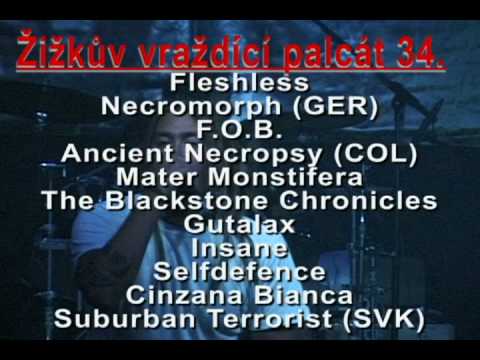 Youtube Video ZgzuCcQ4eEo