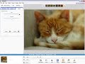 Picasa Tip 1