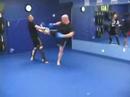 Roundhouse Kick to Head