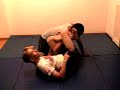 Brazilian Jui-Jitsu Techniques Brazilian Jui-Jitsu Techniques