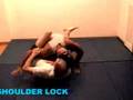 Brazilian Jui-Jitsu Techniques
