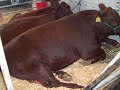 Farmfest 2007