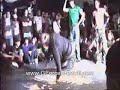 Schizophrenic Octopus