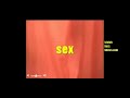 bubbis titis tits bust breasts boobs big round and hot always here for sex.wmv