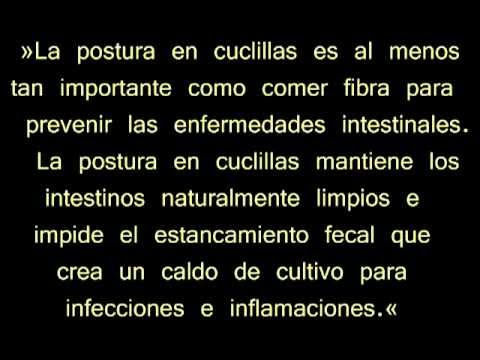 Imagen de previsualización de YouTube