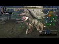 Hunting Daimyo Hermitaur.