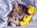 S��e Tierbabys