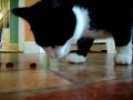 A Piece Of Candy