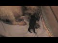 MOV021