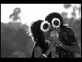 videos de in the sun.wmv