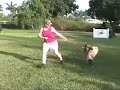 Brittany & Zambi -- Protection -- 6/23/07 -- Clip 1