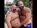 URSOS MG Ursos Bears Osos URSOS MG Ursos Bears Osos