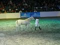 Jean Francois Pignon horseshow