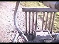 Wood gas Lawn mower Onboard ride Wood gas Lawn mower Onboard ride