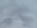 RED ARROWS AUGUST 23rd NORTH WALES (video 2) RED ARROWS AUGUST 23rd NORTH WALES (video 2)