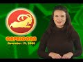 Capricorn Horoscope November 19, 2008