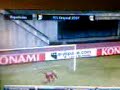 Sinuhe Bautista Diaz GOLES