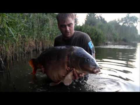 XL Carp Video